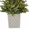 Haute Decor 4.5 Foot Barcelona Blue Spruce Potted Tree with Warm White LED Lights - Cement Gray Patterned Resin Pot